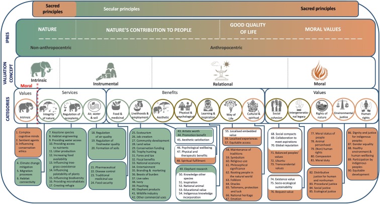 A visual representation of a pluralist elephant valuation system