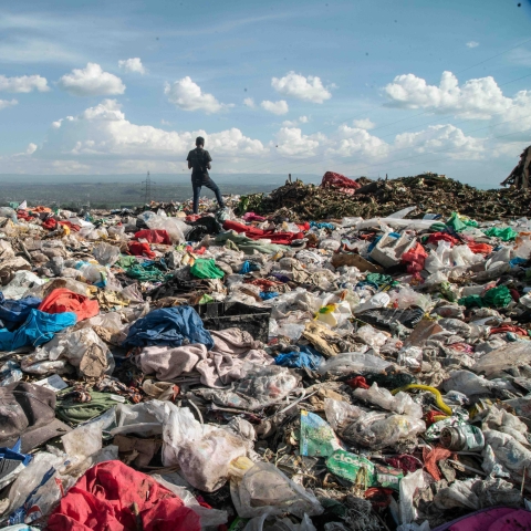 Photo by James Wakibia