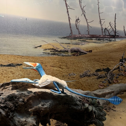 Reconstruction of an Early Jurassic habitat 