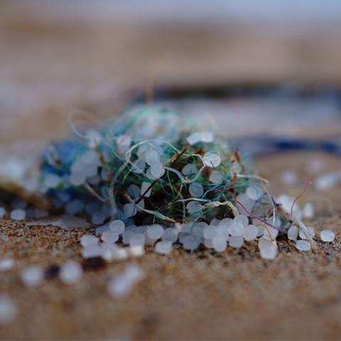 Microplastics and synthetic fibres on a beach