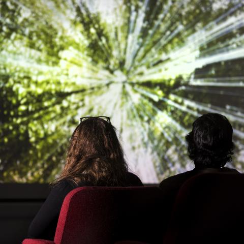 people in a theatre, watching a film