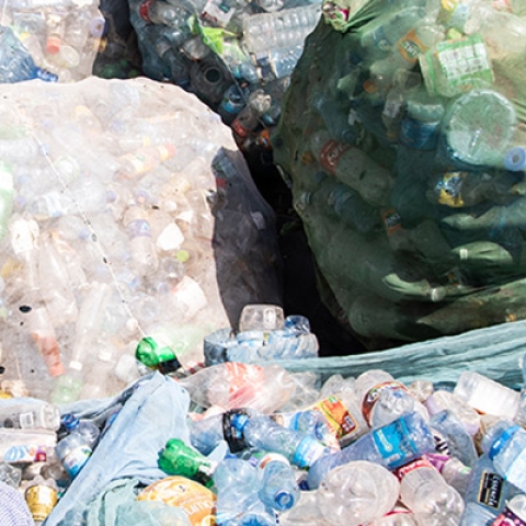 Woman sorting plastic 