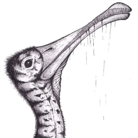 Artwork of a Jurassic pterosaur