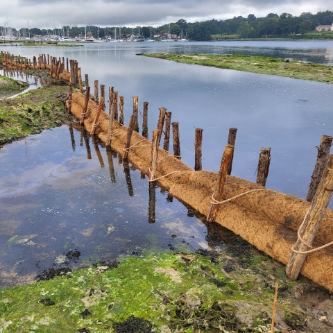 Completed sediment retention barriers in place as the first tide begins to flood the creeks. Photo credit: Luke Helmer