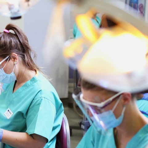 dental nurses using phantom head lab practicing dental work
