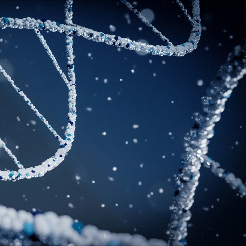Image showing the structure of DNA