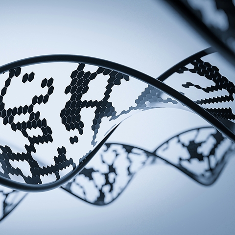 Image in black and white showing a genetic (DNA) sequence