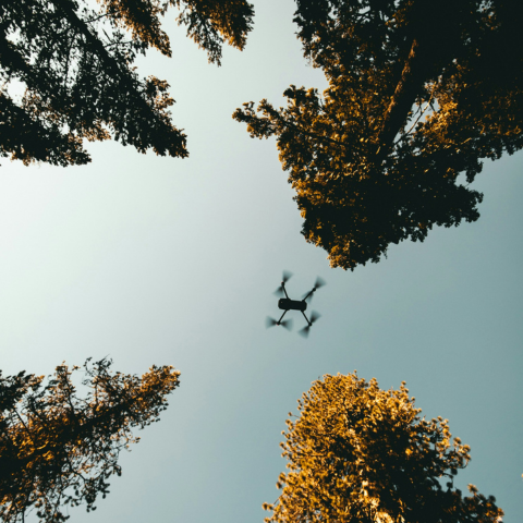 Drone flying above trees