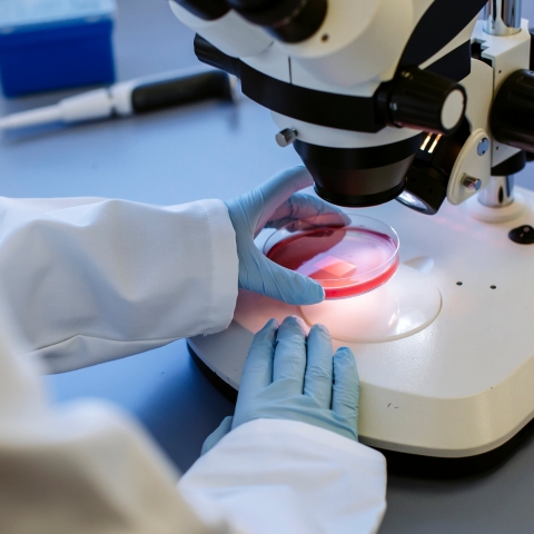 18/05/2021.B-Roll - day 4..All Rights Reserved - Helen Yates- T: +44 (0)7790805960.Local copyright law applies to all print & online usage. Fees charged will comply with standard space rates and usage for that country, region or state.