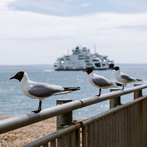 28/05/2021.B-Roll Day 4 - University of Portsmouth..All Rights Reserved - Helen Yates- T: +44 (0)7790805960.Local copyright law applies to all print & online usage. Fees charged will comply with standard space rates and usage for that country, region or state.28/05/2021.B-Roll Day 5 - University of Portsmouth..All Rights Reserved - Helen Yates- T: +44 (0)7790805960.Local copyright law applies to all print & online usage. Fees charged will comply with standard space rates and usage for that country, region o