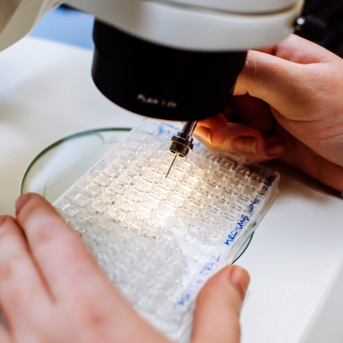 16th & 17th January 2019
Centre for Enzyme Innovation Bid