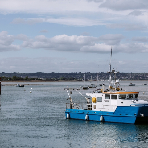 The boats in Langstone harbour