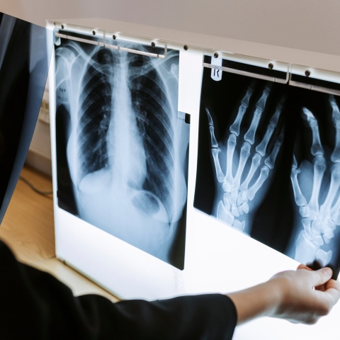 RAO - Year 8 Science and Health Taster Day