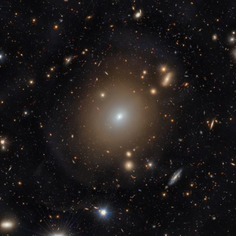 Euclid image of a bright Einstein ring around galaxy NGC 6505