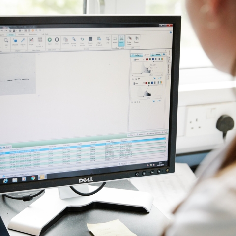 A computer screen with data on it