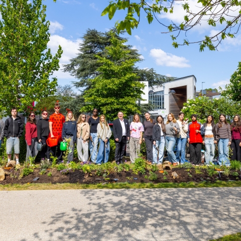 Students planting a wildlife-friendly area on campus