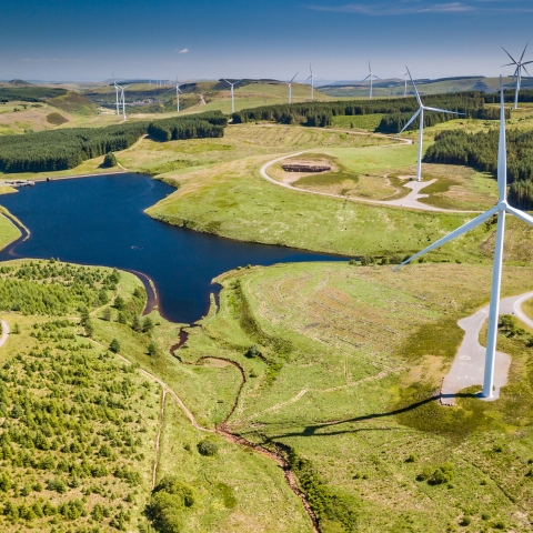 Aerial of solar panels in field