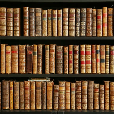bookshelf full of old books