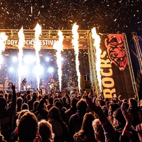 Teddy Rocks Festival