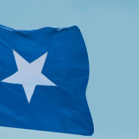 Somalia flag - Photo by aboodi vesakaran on Unsplash