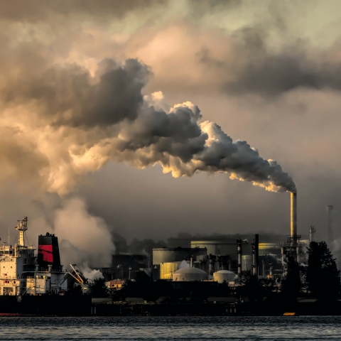 Carbon dioxide clouds coming from industrial site - Photo by Chris LeBoutillier on Unsplash