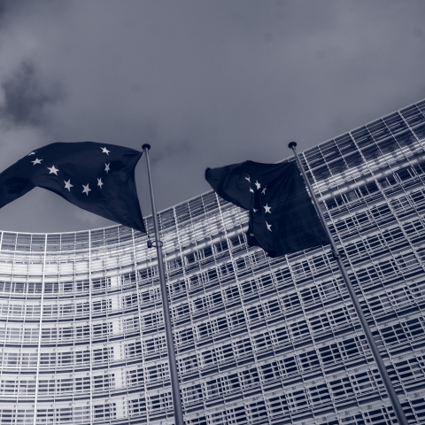 Picture of three EU flags - Photo by Christian Lue on Unsplash