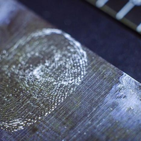Fingerprint analysis