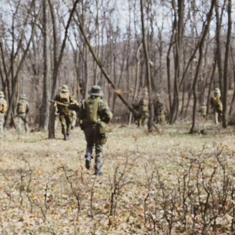 Image of troops in wooded area