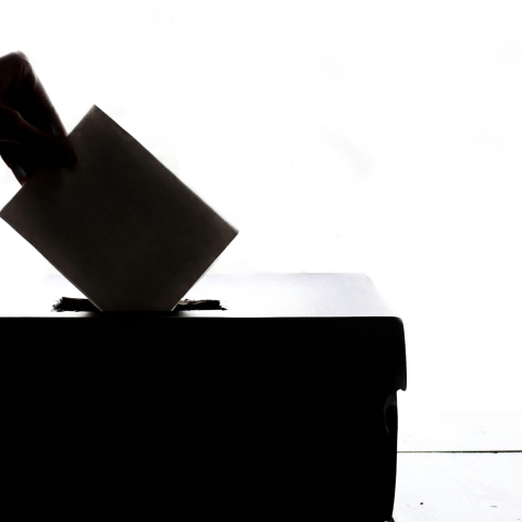 Silhouette of person putting vote in ballot box.