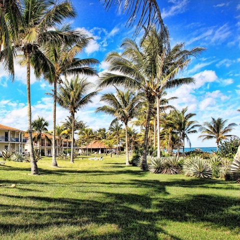A hotel resort with palm trees