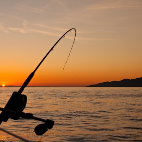 angling rode and sunset