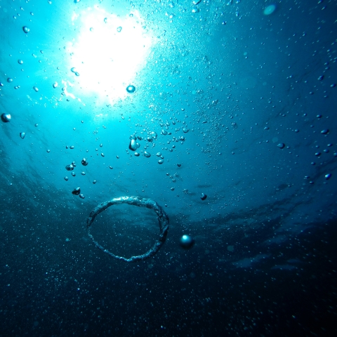 image of water from underneath - unsplash