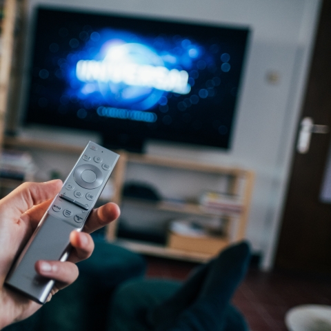 Person holding remote - Photo by Jonas Leupe on Unsplash