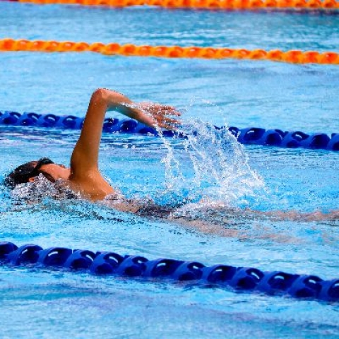 Swimming - Photo by Marcus Ng on Unsplash