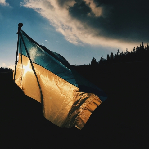 Ukraine flag