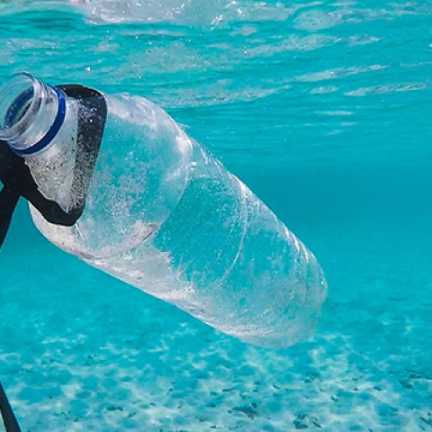 Plastic bottle under water