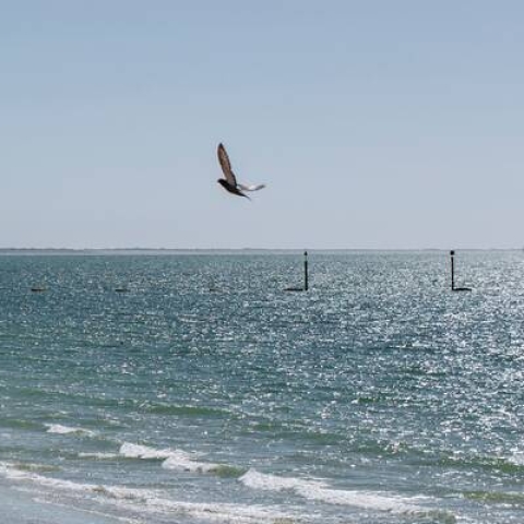 Figures walking on beach on the Portsmouth seafront