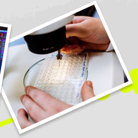 Researchers working on computer model of molecules and sample tray