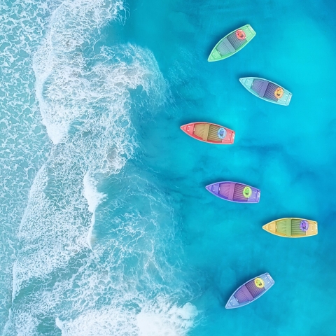 STANDARD LICENSE; PLEASE SEE ADDITIONAL ASSET FOR FULL LICENSE TERMS.