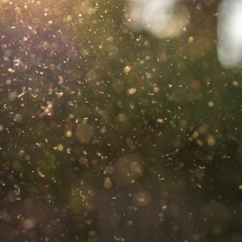 STANDARD LICENSE; PLEASE SEE ADDITIONAL ASSET FOR FULL LICENSE TERMS.