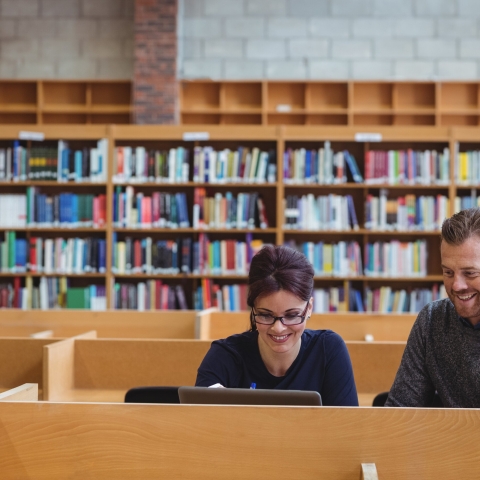 STANDARD LICENSE; PLEASE SEE ADDITIONAL ASSET FOR FULL LICENSE TERMS.