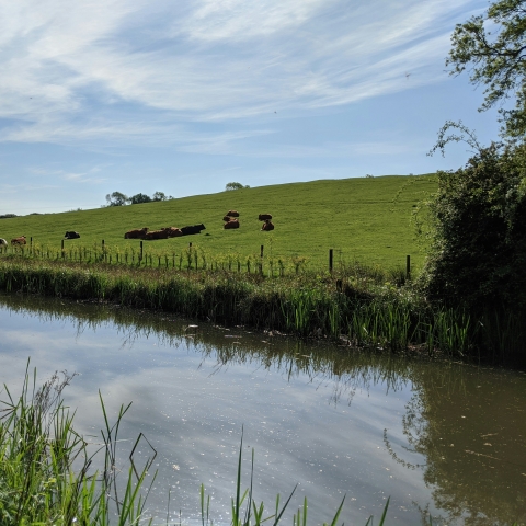 english water in countryside