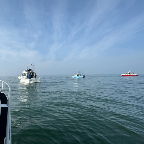 Picture of fishing boat in the Solent