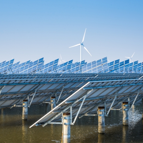 Windfarm at sea on a sunny day