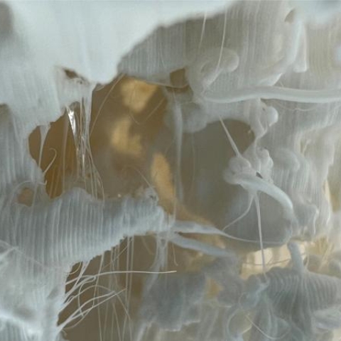 ONLY FOR USE ON RESEARCH WE PAGE. SUBMITTED BY PENNY CHALK.