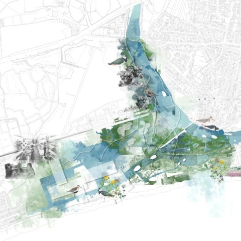 Image by Long Lynette