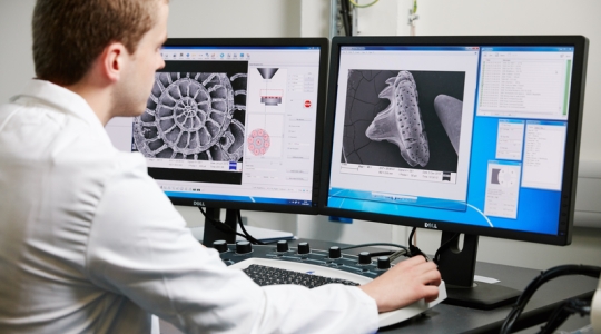 Scanning electron microscopy