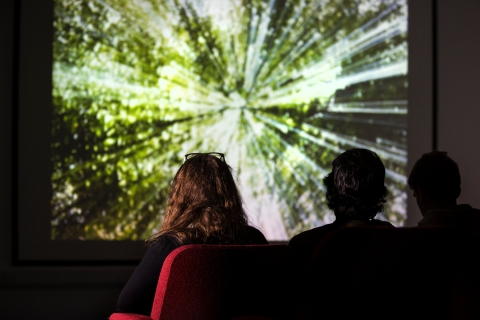 people in a theatre, watching a film