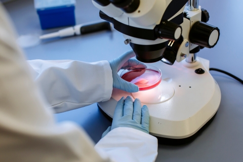 18/05/2021.B-Roll - day 4..All Rights Reserved - Helen Yates- T: +44 (0)7790805960.Local copyright law applies to all print & online usage. Fees charged will comply with standard space rates and usage for that country, region or state.