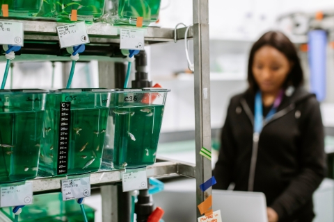 Ringfenced for Alex Ford's research project on pollution and shrimp sperm count